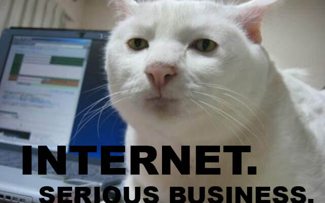 internet-serious-business-cat-640x400